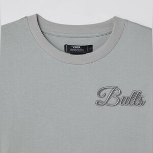 pro standard UO Exclusive chicago bulls nba tee dark drey